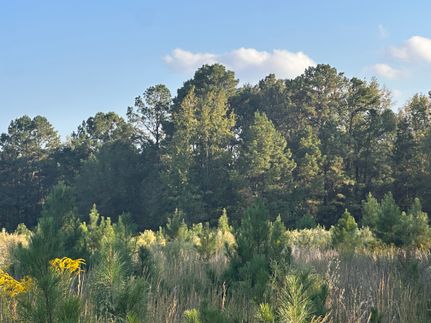 Lakefront Property for sale in Bowie County, Texas