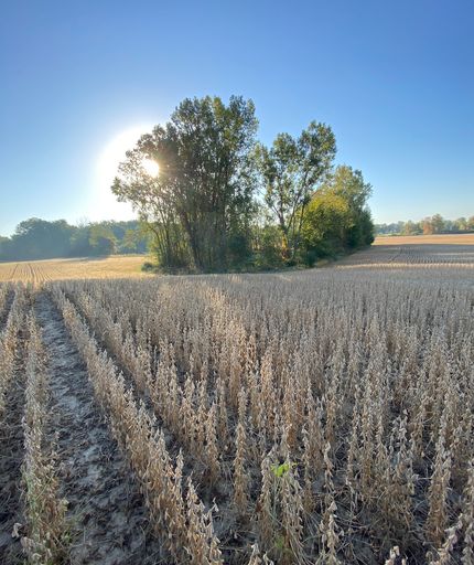 Farm and Ranch for sale in Livingston County, Michigan