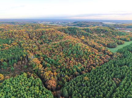 Land for sale in Jackson County, Wisconsin