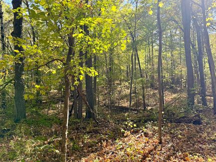 Hunting Property for sale in Crow Wing County, Minnesota