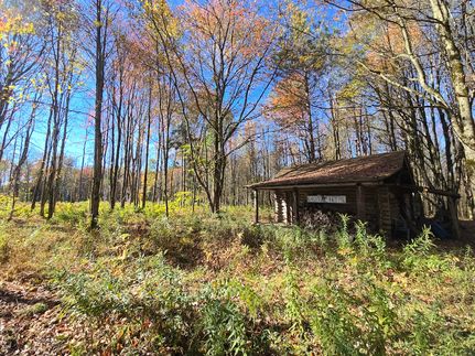 Undeveloped Land for sale in Otsego County, New York