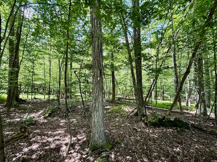 Undeveloped Land for sale in Ulster County, New York