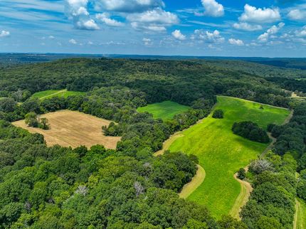 Farm and Ranch in Johnson County, Illinois