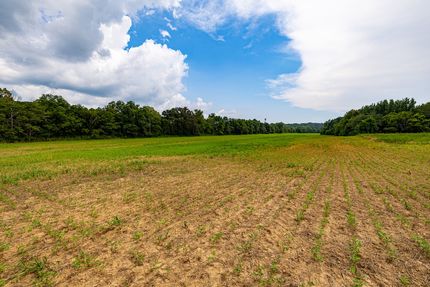 Farm and Ranch in Johnson County, Illinois
