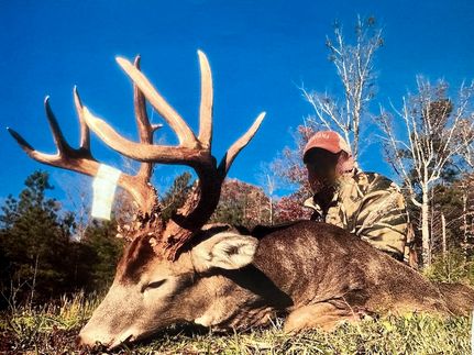 Farm and Ranch in Johnson County, Illinois