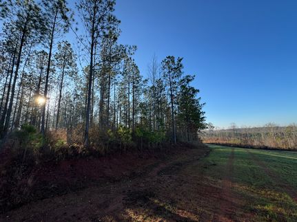 Land for sale in Chambers County, Alabama