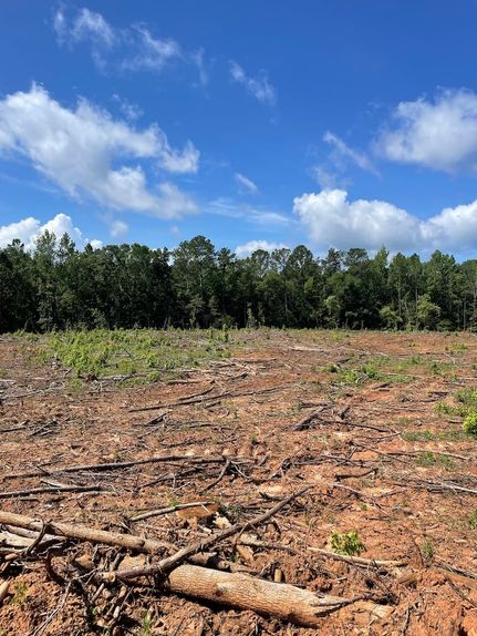 Farm and Ranch for sale in Taylor County, Georgia