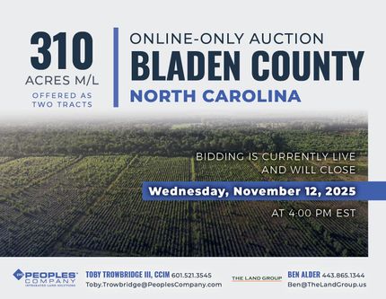 Timberland Property in Bladen County, North Carolina