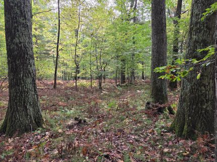 Land for sale in Marinette County, Wisconsin
