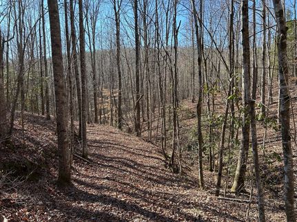 Recreational Property for sale in Marion County, Alabama