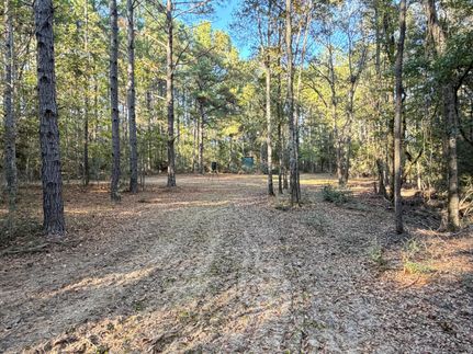 Undeveloped Land for sale in Covington County, Alabama