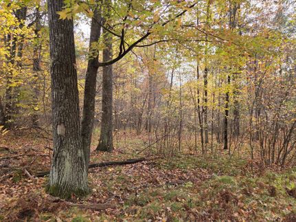 Recreational Property for sale in Marinette County, Wisconsin