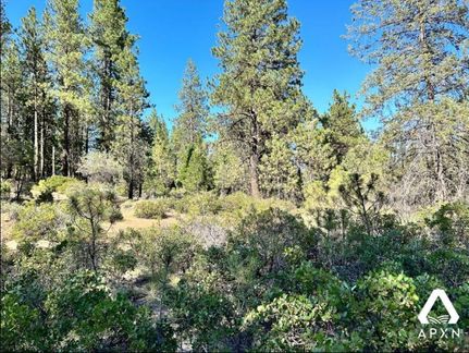 Undeveloped Land for sale in Klamath County, Oregon