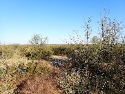 Farm and Ranch for sale in Terrell County, Texas