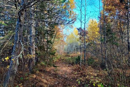 Land for sale in Oneida County, Wisconsin