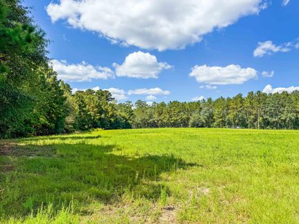 Recreational Property for sale in Tyler County, Texas
