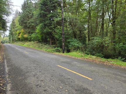 Undeveloped Land for sale in Grays Harbor County, Washington
