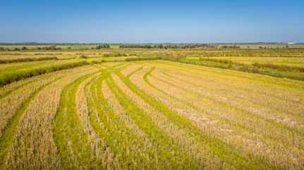 Land for sale in Jefferson County, Texas