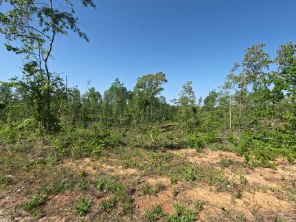 Land for sale in Prentiss County, Mississippi