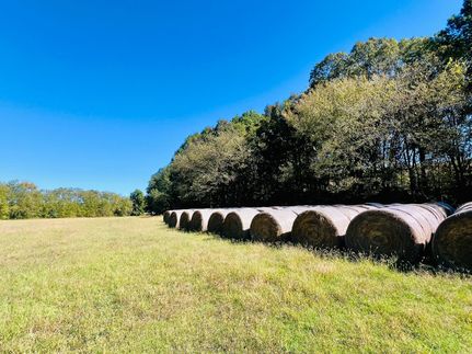 Hunting Property for sale in Marshall County, Mississippi