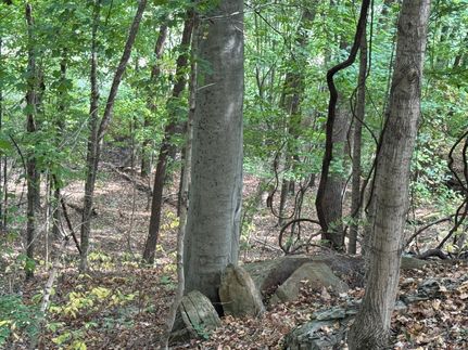 Recreational Property for sale in Muhlenberg County, Kentucky