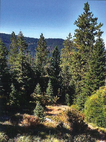 Farm and Ranch for sale in Jackson County, Oregon