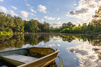Undeveloped Land for sale in Butler County, Alabama
