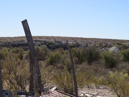 Undeveloped Land for sale in Terrell County, Texas