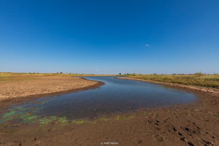 Timberland Property for sale in Fisher County, Texas