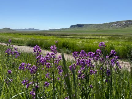 Land for sale in Chouteau County, Montana