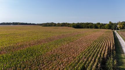 Farm and Ranch for sale in Carroll County, Indiana