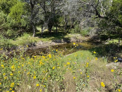 Farm and Ranch for sale in Kerr County, Texas