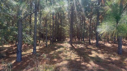 Farm and Ranch for sale in Screven County, Georgia