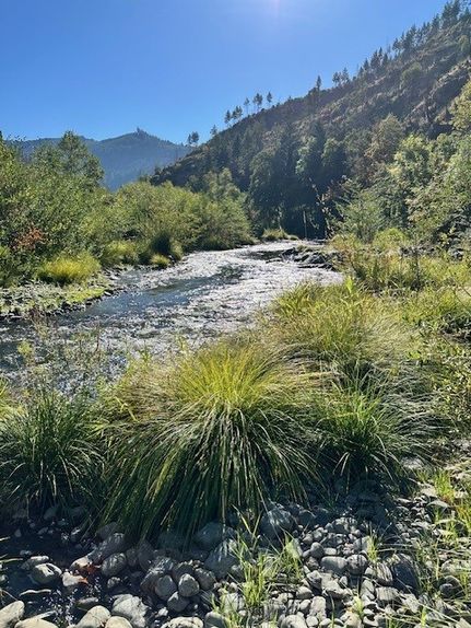 Recreational Property for sale in Douglas County, Oregon