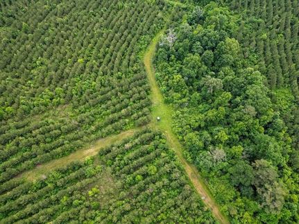 Farm and Ranch for sale in Morehouse Parish, Louisiana