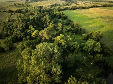 Farm and Ranch for sale in Dickinson County, Kansas