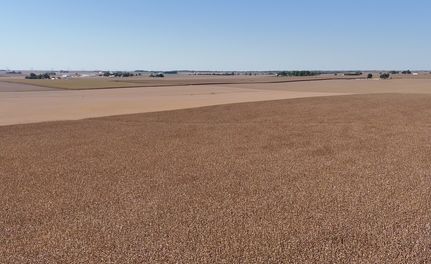 Land for sale in Woodford County, Illinois