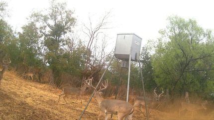 Land for sale in Lampasas County, Texas