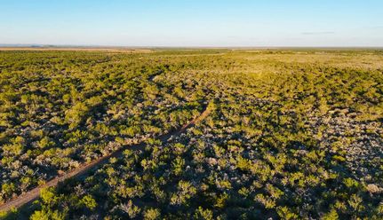 Land for sale in Uvalde County, Texas
