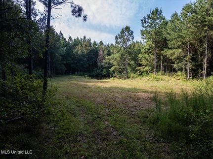 Recreational Property for sale in Copiah County, Mississippi