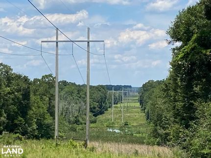 Undeveloped Land in Geneva County, Alabama