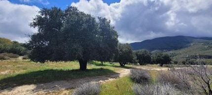 Farm and Ranch for sale in San Diego County, California