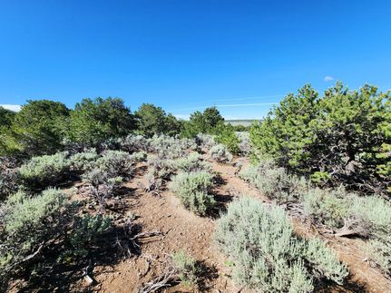 Land for sale in Costilla County, Colorado