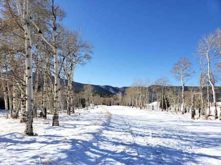Recreational Property for sale in Costilla County, Colorado