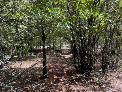 Recreational Property for sale in Young County, Texas