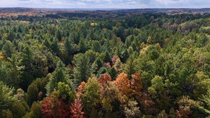 Commercial Property for sale in Osceola County, Michigan