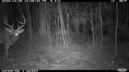 Recreational Property in Winston County, Alabama