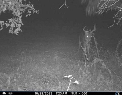 Commercial Property in Sullivan County, Missouri