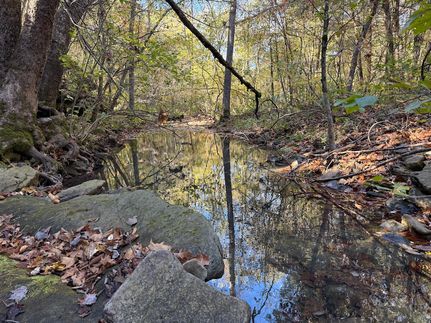 Land for sale in Carroll County, Arkansas