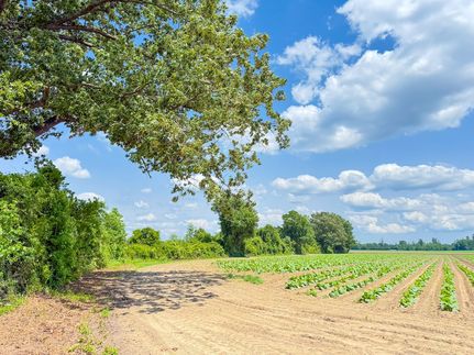 Undeveloped Land for sale in Horry County, South Carolina